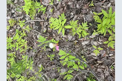 Lot I Agape Lane, Dexter, ME 04930 - Photo 33