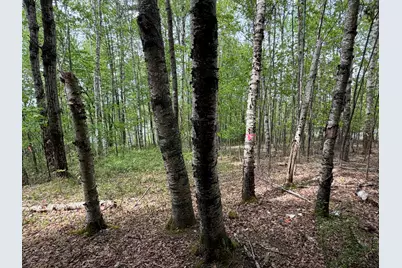 Lot I Agape Lane, Dexter, ME 04930 - Photo 25