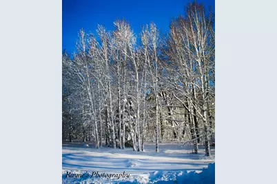15 Lewis Road, Westport, ME 04578 - Photo 5
