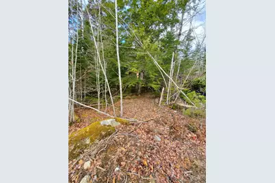 0 Pioneer Path #Lot 5, Aurora, ME 04408 - Photo 9