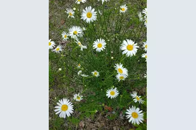 0 Pioneer Path #Lot 5, Aurora, ME 04408 - Photo 25