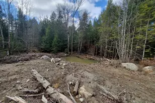 0 Pioneer Path, Aurora, ME 04408 - Photo 13