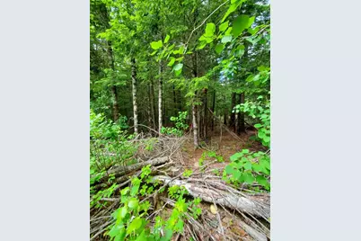 0 Pioneer Path #Lot 5, Aurora, ME 04408 - Photo 17
