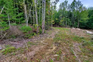0 Pioneer Path, Aurora, ME 04408 - Photo 33