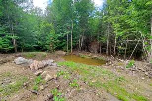 0 Pioneer Path, Aurora, ME 04408 - Photo 13
