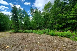 0 Pioneer Path, Aurora, ME 04408 - Photo 17