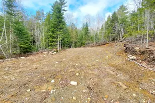 0 Pioneer Path, Aurora, ME 04408 - Photo 15