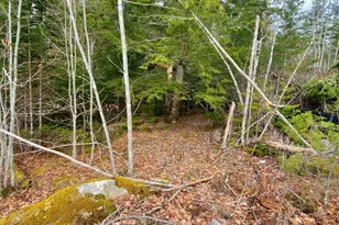 0 Pioneer Path, Aurora, ME 04408 - Photo 19