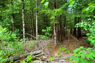 0 Pioneer Path, Aurora, ME 04408 - Photo 17
