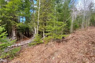 0 Pioneer Path, Aurora, ME 04408 - Photo 15