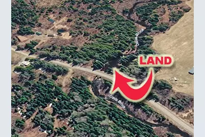 Lot 13 Wilcox Road, Cary, ME 04730 - Photo 15