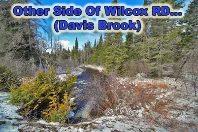 Lot 13 Wilcox Road, Cary, ME 04730 - Photo 11