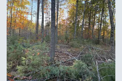 Lot 16 (2) Whittier Road, Farmington, ME 04938 - Photo 5