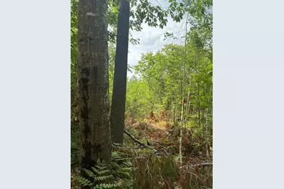 Lot 16 (2) Whittier Road, Farmington, ME 04938 - Photo 5