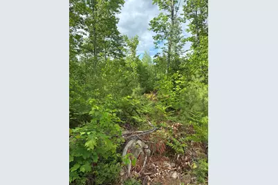 Lot 16 (2) Whittier Road, Farmington, ME 04938 - Photo 3