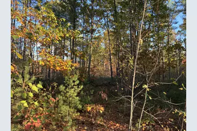 Lot 16 (2) Whittier Road, Farmington, ME 04938 - Photo 11