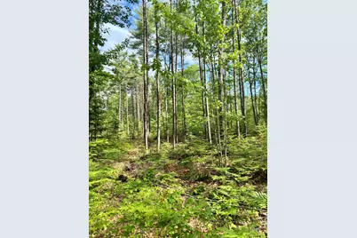 Lot 16 (2) Whittier Road, Farmington, ME 04938 - Photo 1