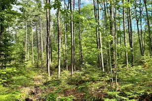 Lot 16 (2) Whittier Rd, Farmington, ME 04938 - Photo 1