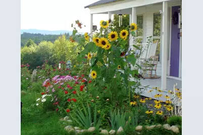 288 Mayberry Hill Road, Casco, ME 04015 - Photo 5