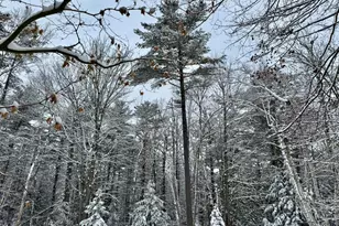 43 Darling Parke Dr, Bangor, ME 04401 - Photo 97