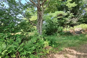 53 Kulas Rd, Parkman, ME 04443 - Photo 55