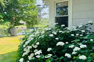 13 River St, Princeton, ME 04668 - Photo 43
