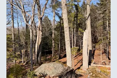 0 Balsam Lane, Mount Desert, ME 04660 - Photo 11