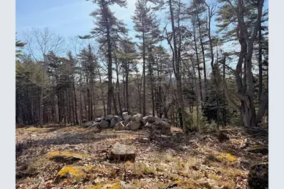 0 Balsam Lane, Mount Desert, ME 04660 - Photo 9