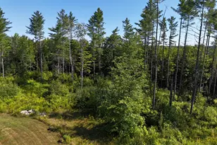 286 Lexington Rd, Springfield, ME 04947 - Photo 47