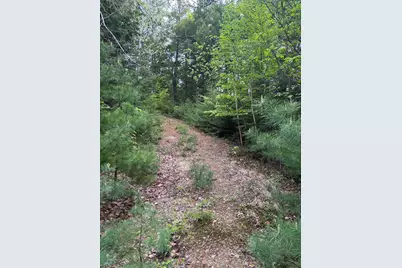 5 Bog Brook Loop, West Paris, ME 04289 - Photo 3