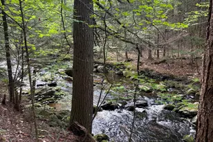 5 Bog Brook Loop, West Paris, ME 04289 - Photo 1
