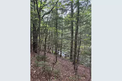 4 Bog Brook Loop, West Paris, ME 04289 - Photo 3