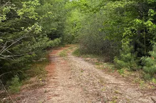 6 Bog Brook Loop, West Paris, ME 04289 - Photo 1