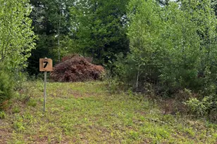 7 Bog Brook Loop, West Paris, ME 04289 - Photo 1