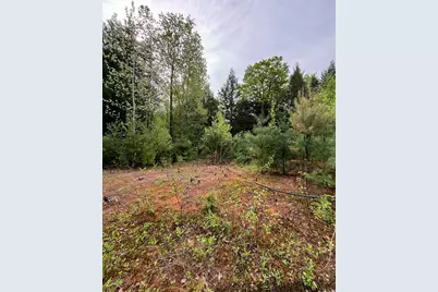 7 Bog Brook Loop, West Paris, ME 04289 - Photo 3