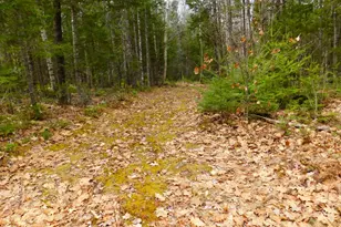 217 Troy Rd, Detroit, ME 04929 - Photo 29