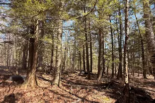 186 Transalpine Rd, Lincoln, ME 04457 - Photo 23