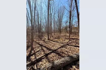186 Transalpine Road, Lincoln, ME 04457 - Photo 1