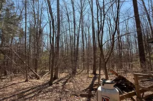 186 Transalpine Rd, Lincoln, ME 04457 - Photo 21