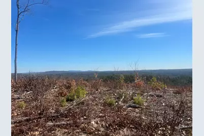 Tbd Deer Hill Road, Harrison, ME 04040 - Photo 5