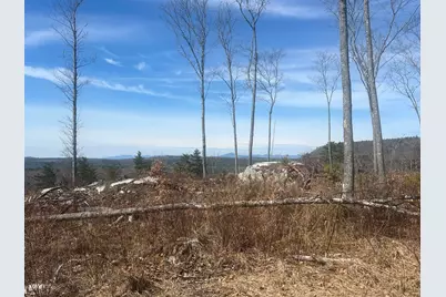 Tbd Deer Hill Road, Harrison, ME 04040 - Photo 7