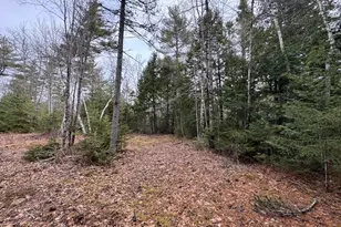 15 Bufford Dr, Waltham, ME 04605 - Photo 1