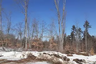 Lot 33 Shore Acres Rd, Parsonsfield, ME 04047 - Photo 25