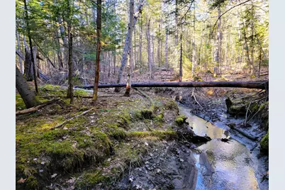 0 Redding Lane, Freeport, ME 04032 - Photo 5
