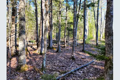 0 Redding Lane, Freeport, ME 04032 - Photo 13