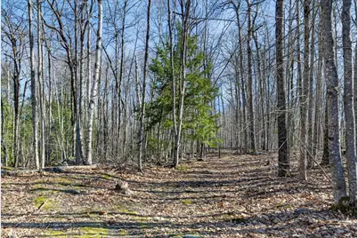 153 Stillwater Avenue, Orono, ME 04473 - Photo 15