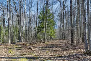 153 Stillwater Ave, Orono, ME 04473 - Photo 15