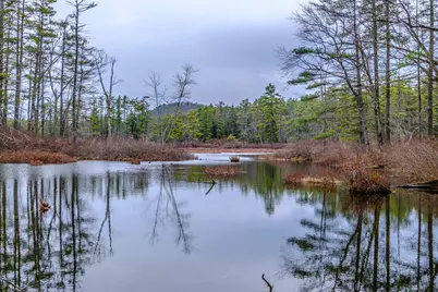 515 Bickford Pond Road, Porter, ME 04068 - Photo 5