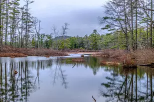 515 Bickford Pond Rd, Porter, ME 04068 - Photo 5