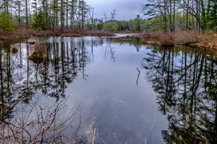 515 Bickford Pond Rd, Porter, ME 04068 - Photo 49